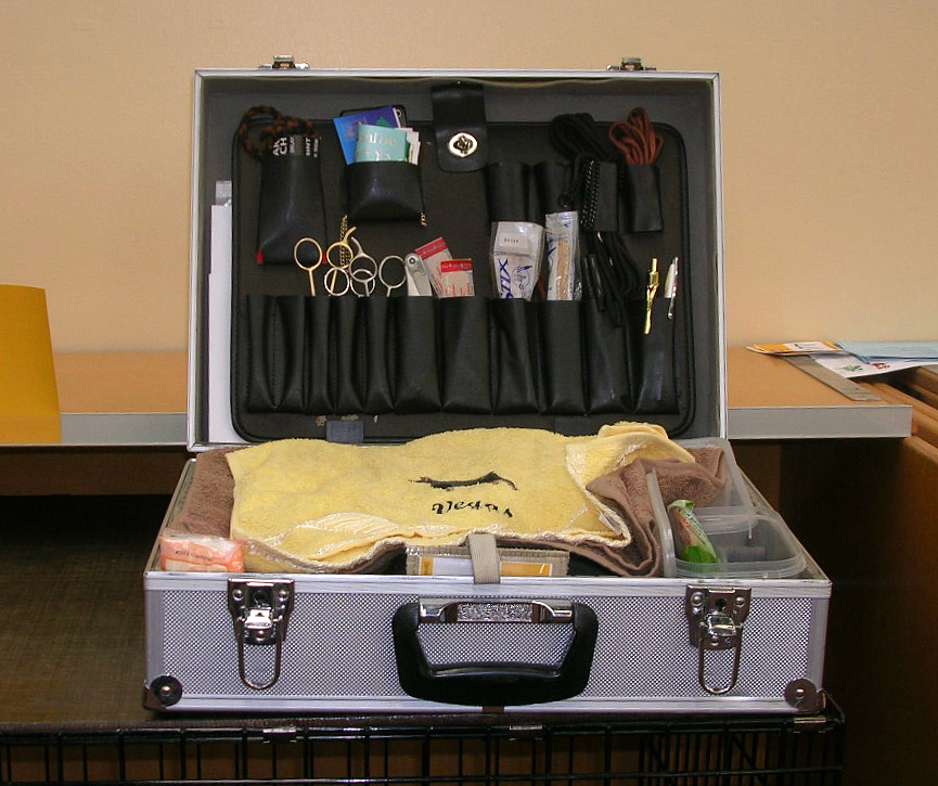 Editorial image for Dog grooming services explained