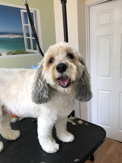 Photo associated with Canine Grooming