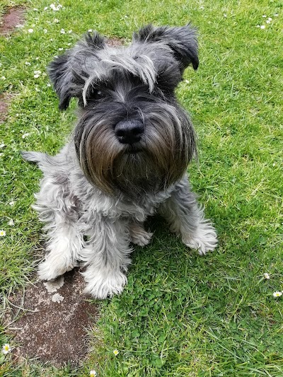 Photo associated with Barking Beauties & Friends