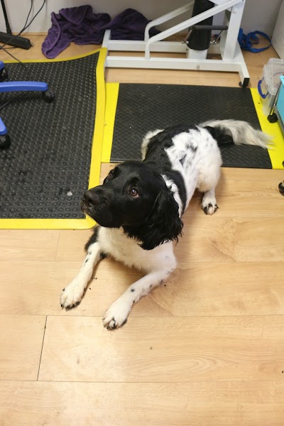 Photo associated with Canine Cabin