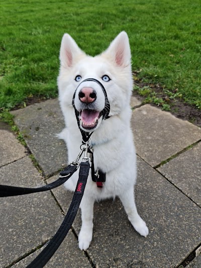 Photo associated with The Dog Pamperer