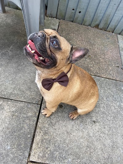 Photo associated with Barkers Pet groomers