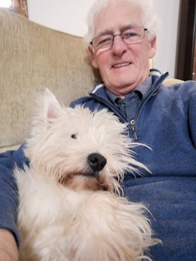 Photo associated with Cannock Dog Grooming - Barkingham Palace