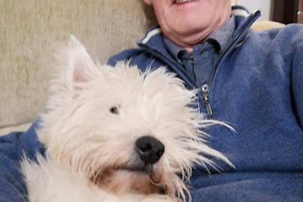 Photo associated with Cannock Dog Grooming - Barkingham Palace