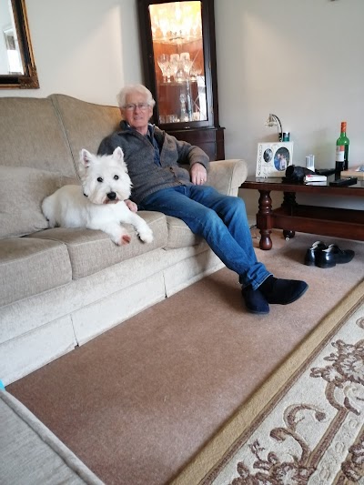Photo associated with Cannock Dog Grooming - Barkingham Palace