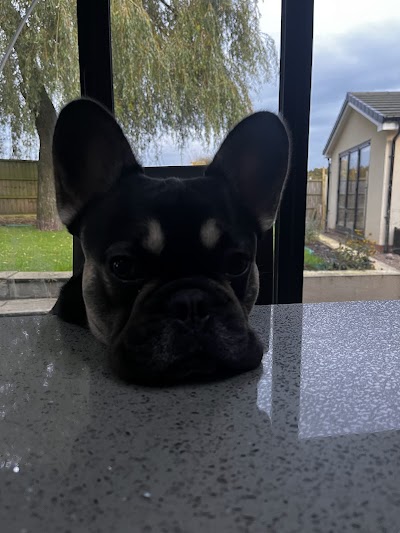 Photo associated with Wigan Groomers