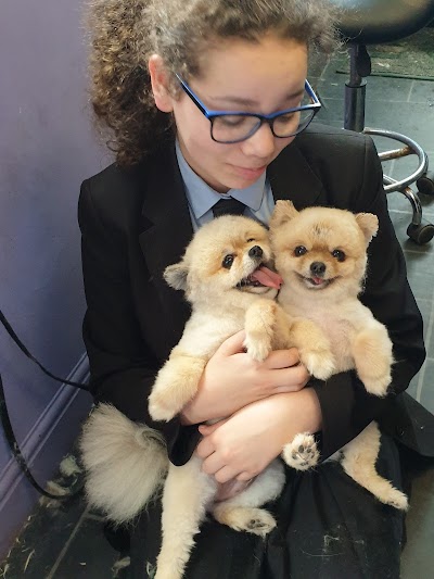 Photo associated with Wythenshawe dog grooming