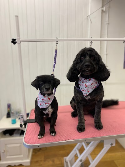 Photo associated with MK Dog Grooming