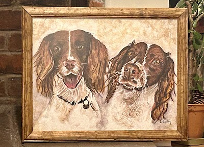 Photo associated with Scragg's Dog Grooming & Pet Portraits
