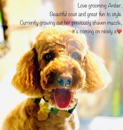 Photo associated with Scragg's Dog Grooming & Pet Portraits