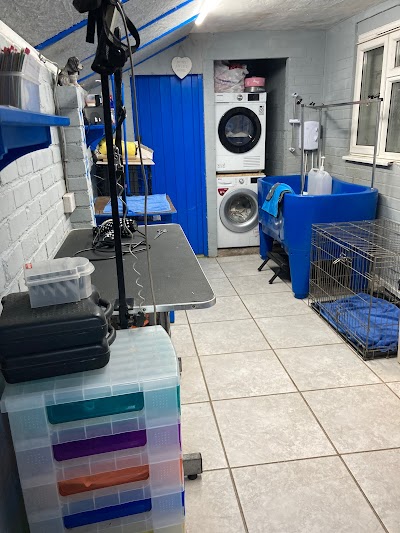 Photo associated with Rachael's Dog Grooming Rowley Regis