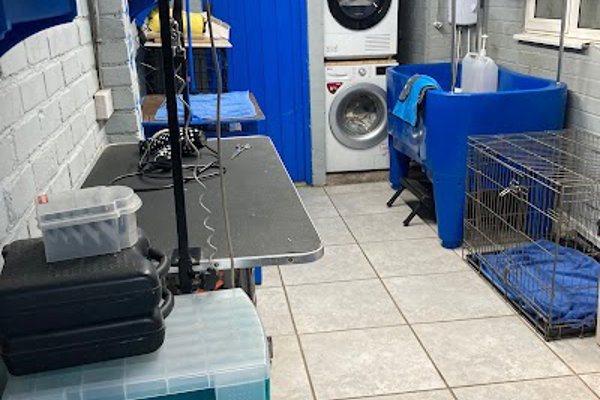 Photo associated with Rachael's Dog Grooming Rowley Regis