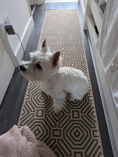 Photo associated with Fetch22 dog grooming & boutique