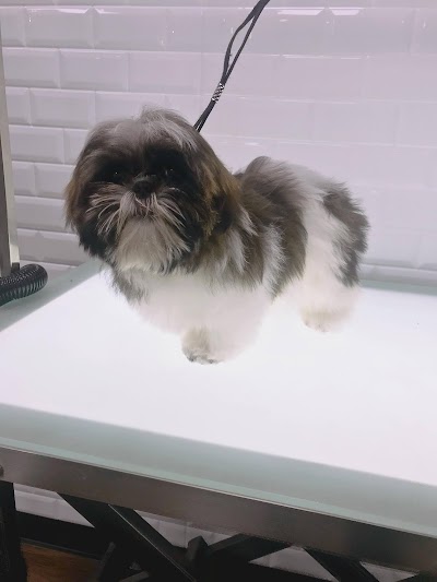 Photo associated with The Jolly Groomer - St Helens
