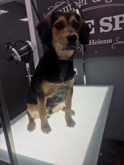 Photo associated with The Jolly Groomer - St Helens