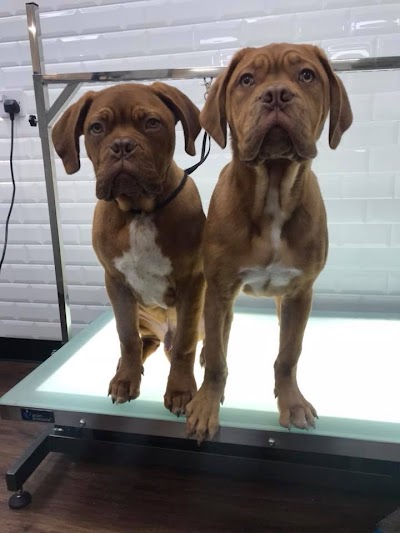 Photo associated with The Jolly Groomer - St Helens