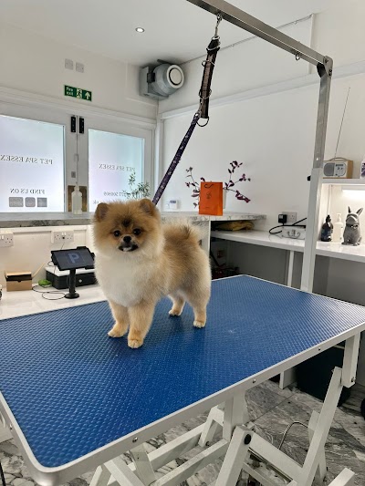 Photo associated with Pet Spa Essex