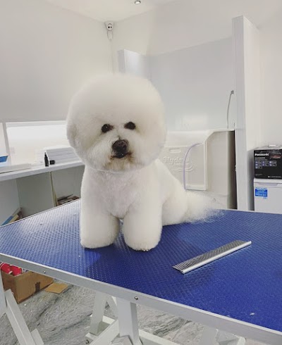 Photo associated with Pet Spa Essex