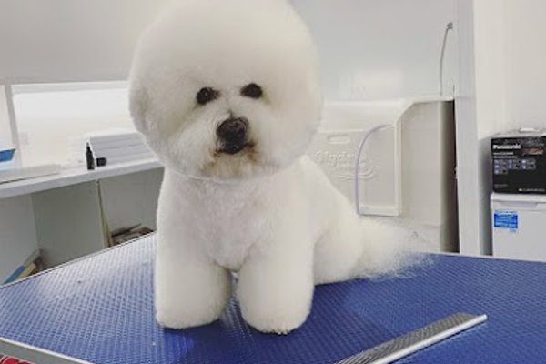 Photo associated with Pet Spa Essex