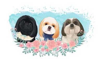 Photo associated with Lulu & Paws Dog Salon Durham