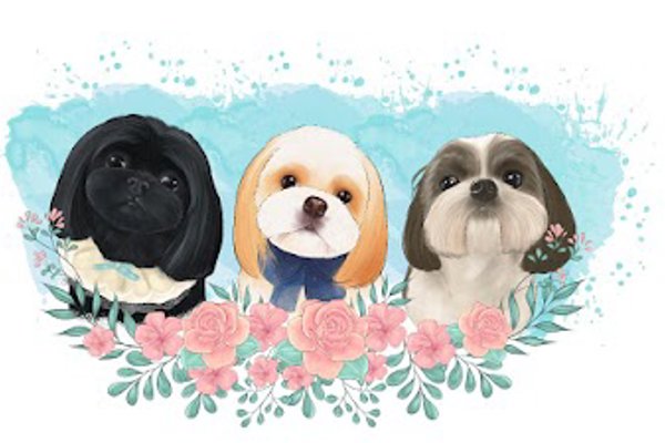 Photo associated with Lulu & Paws Dog Salon Durham