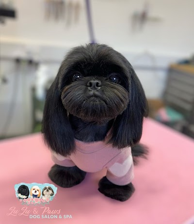 Photo associated with Lulu & Paws Dog Salon Durham