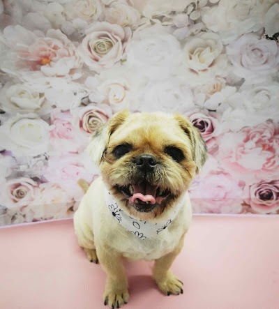 Photo associated with Lulu & Paws Dog Salon Durham