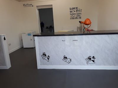 Photo associated with Vivi's Dog Grooming
