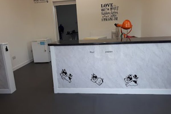 Photo associated with Vivi's Dog Grooming