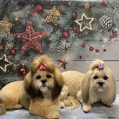 Photo associated with Beauty Dog Normanton (Katarzyna Dziuba)