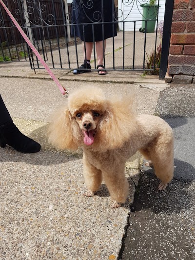 Photo associated with Miss Diane Dog Groomers