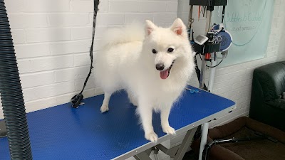 Photo associated with Bubbles & Cuddles - Pet Groomer