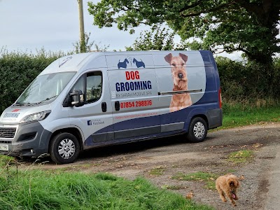 Photo associated with Dog Grooming By Sarah Mobile Spa