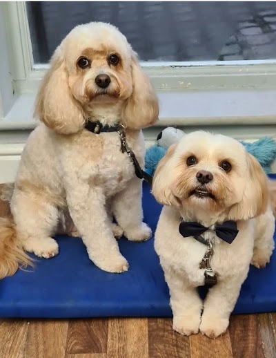 Photo associated with Paws a While Pet Grooming