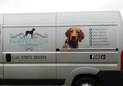 Photo associated with Pawfection mobile dog grooming service