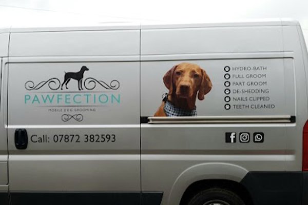 Photo associated with Pawfection mobile dog grooming service