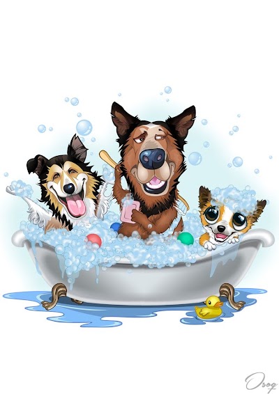Photo associated with Fresh paws dog grooming