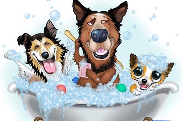 Photo associated with Fresh paws dog grooming