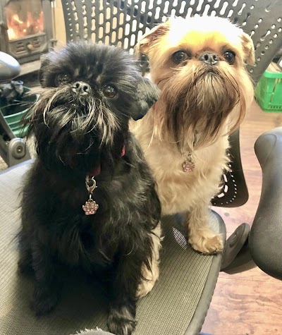 Photo associated with LC Pet Grooming