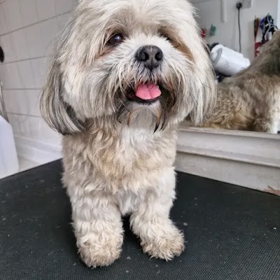 Photo associated with Croxteth Park Dog Groomers