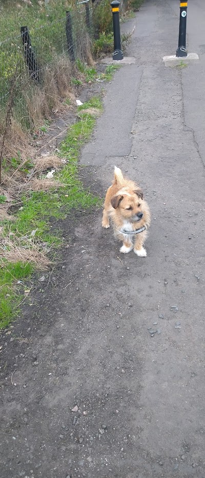 Photo associated with Top Dogs Alloa