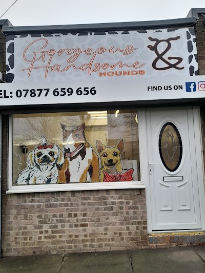 Photo associated with Gorgeous & Handsome Hounds Sunderland