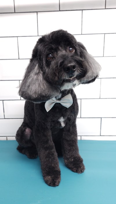 Photo associated with Woof & Ready Dog Grooming and Pet Services Ltd