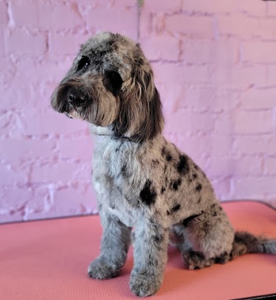 Photo associated with Linby Dog Grooming Ltd