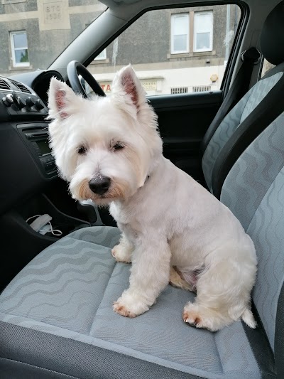 Photo associated with Bobtails Dog Grooming