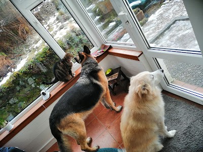 Photo associated with Prim Paws Mobile Grooming