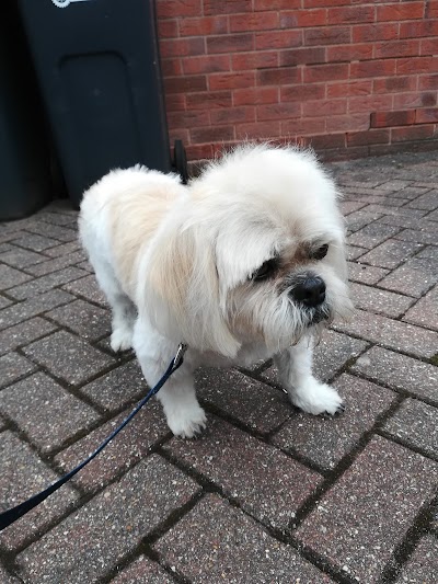 Photo associated with Furtastic Pets Mobile Grooming