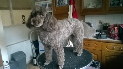 Photo associated with Furtastic Pets Mobile Grooming
