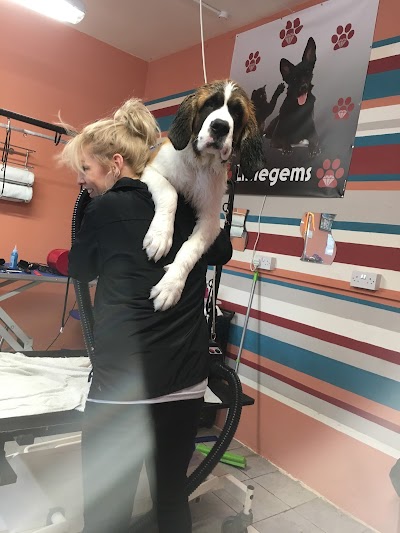 Photo associated with Littlegems Canine Care & Grooming