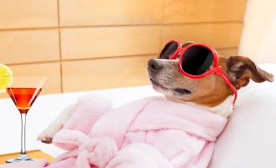 Photo associated with Tickhill Dog Kabin